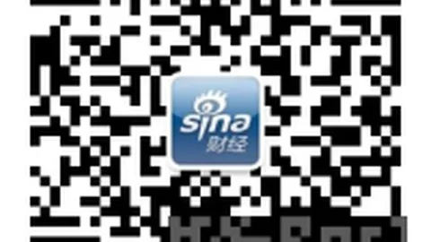 罗向队友及葡萄牙人民致歉：队长责任下的严厉自罚指南